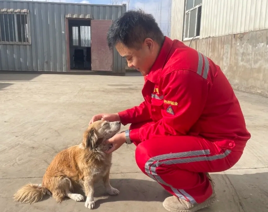 ��ʨ�����(�й�)���޹�˾-Official website